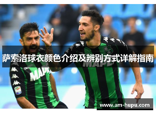 萨索洛球衣颜色介绍及辨别方式详解指南