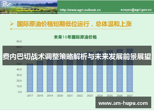 费内巴切战术调整策略解析与未来发展前景展望