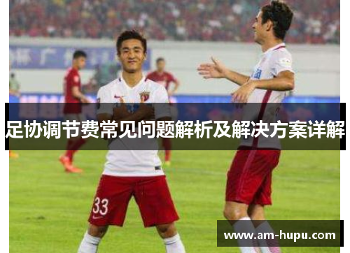 足协调节费常见问题解析及解决方案详解 足协调节费常见问题解析及解决方案详解