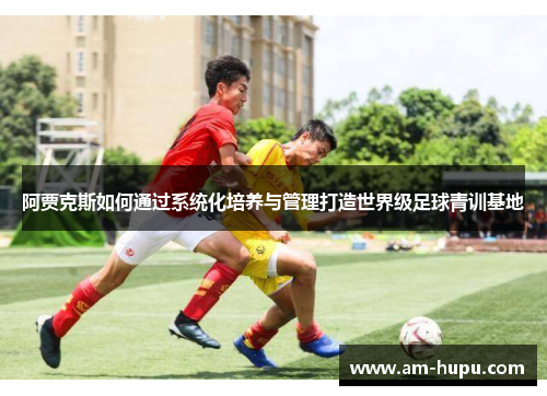 阿贾克斯如何通过系统化培养与管理打造世界级足球青训基地